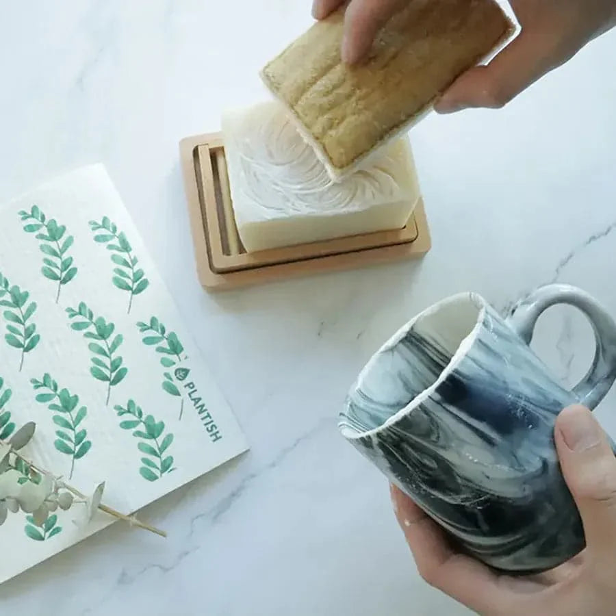 Eco Sponge