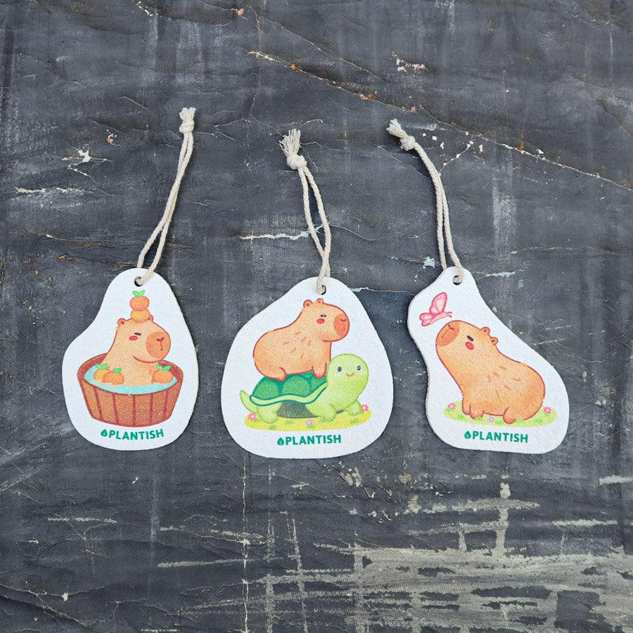 Turtle Ride - Pop up Sponge (Capybara Creations)