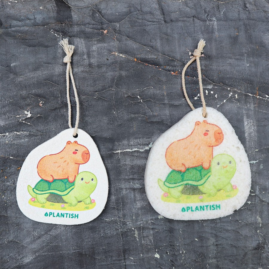 Turtle Ride - Pop up Sponge (Capybara Creations)