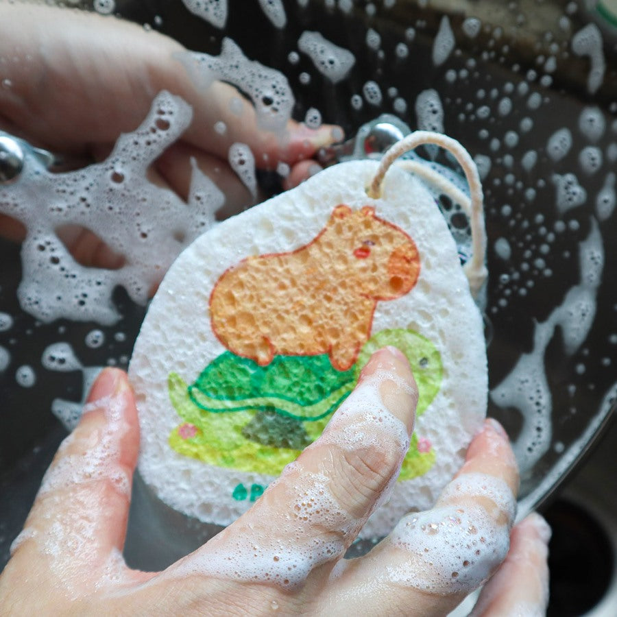 Turtle Ride - Pop up Sponge (Capybara Creations)